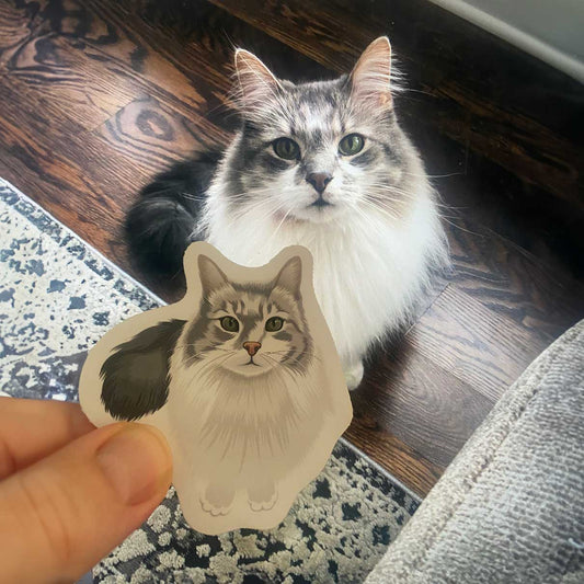 Cool Personalized Custom Cat Photo Sticker Gift, Turn Your Photo Portrait Picture into Custom Drawn Sticker Decals